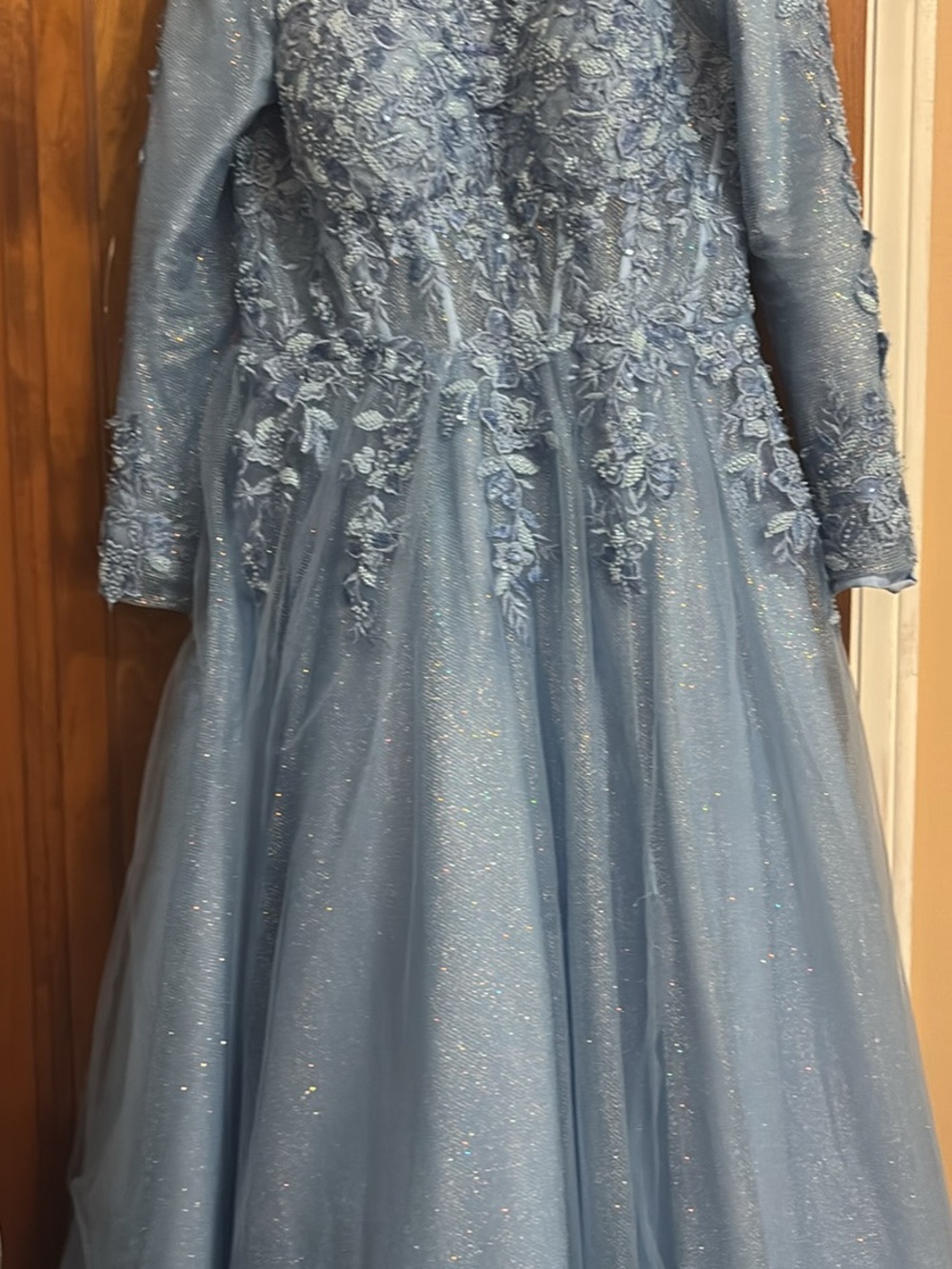 Sparkle Lace Long Sleeve Ball Gown Dress in Dusty Blue